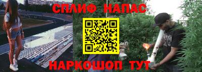 прущие крисы Пугачёв