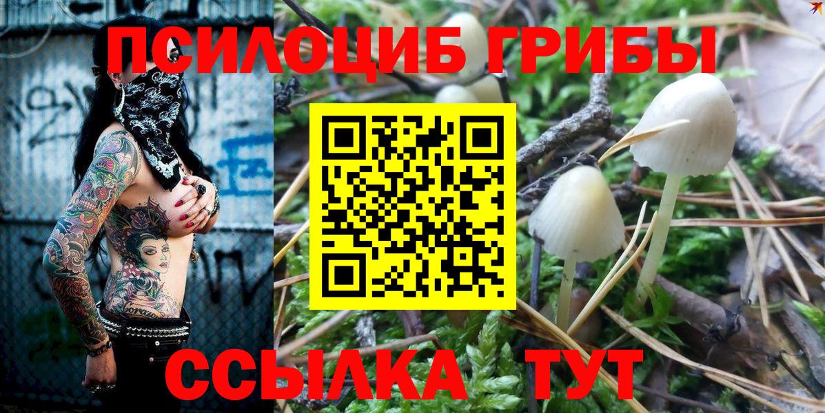 Серов  Галлюциногенные грибы мицелий  Вход с VPN 